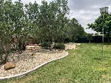 Lubbock Pro Services