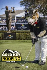 Gold Key Roofing photo 5