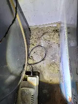 Mirak Pest Control photo 4