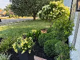 Diversified Lawn and Landscape photo 4