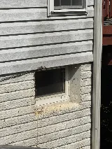 Orkin photo 6
