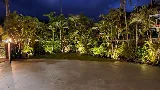 Aloha `Aina Landscaping LLC photo 4
