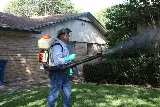 Family Pest Control