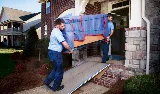 HamilTonyn Movers photo 6