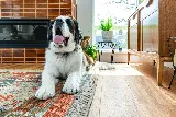 Treasure Valley Floor Coverings & Designs photo 2