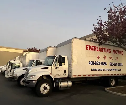Everlasting Moving photo 1