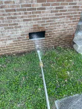 Bulwark Exterminating photo 7