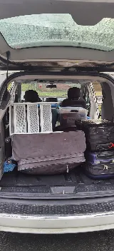 Panda Moving photo 6