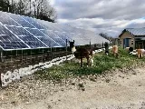 StraightUp Solar photo 7