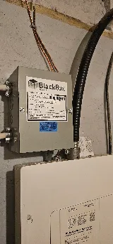 Jack Pine Electric photo 5