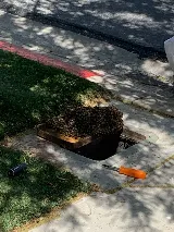 Bulwark Exterminating photo 5