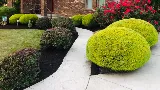 DJ2 Lawn Care LLC photo 3