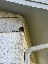 Preferred Pest Management photo 3