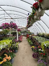 S & S Landscaping