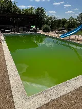 Crest Pool Service