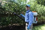 Allied Termite & Pest Control photo 6