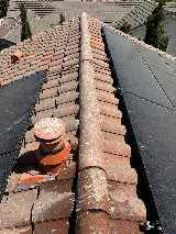 Next Level Pest Control photo 7