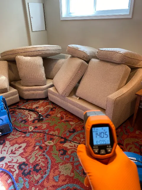 Eco Bed Bug Exterminators Baltimore in Baltimore