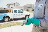 Domain Pest Control