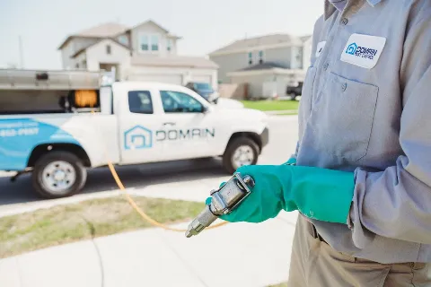 Domain Pest Control in Kyle