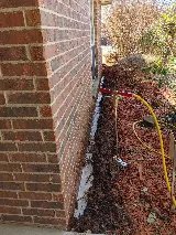 Flatline Pest Control photo 6