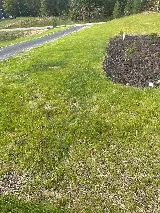Frontline Pest and Termite of Upper Marlboro photo 8