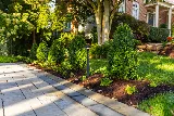 Kingstowne Lawn & Landscape photo 3