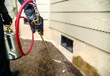 AR Pest Control Milton photo 4