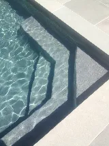 Top Dog Pool Coatings