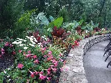 Blue Sparrow Lawn and Landscape, LLC photo 3