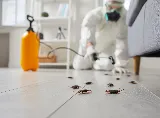 Ktown Pest Solutions photo 2