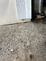 OGD Overhead Garage Door photo 7