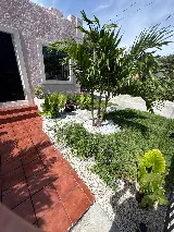 BNB Landscaping photo 5