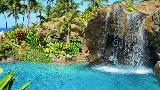 Koko Head Pool Service