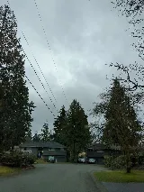 Cascade Pest Control photo 3