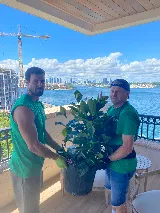 Miami Movers For Less photo 4