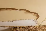 Top Cleveland Pest Control photo 2