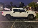 Brooks Pest Solutions photo 3