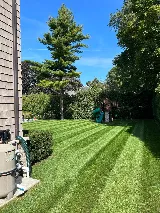 V.I.L. Landscaping photo 6