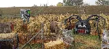Tilleraas Landscape Nursery photo 3