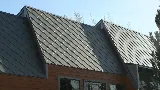True Green Roofing Solutions