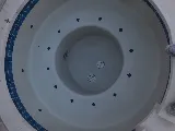 Texas Pool Services photo 8