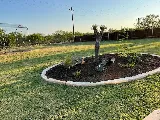 Clientele Lawn & Landscape photo 4