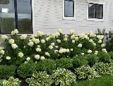 Skyline Exteriors photo 5