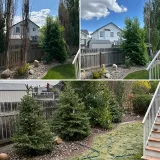 S.O.S Exteriors photo 5
