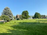 Liberty Landscape photo 9