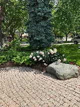 Verdant Landscape and Design Inc. photo 2