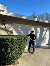 Persistent Pest Solutions photo 7