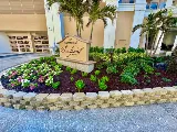 Tampa landscape solutions photo 7