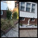 HonMex Landscaping photo 3